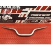 Guidon
