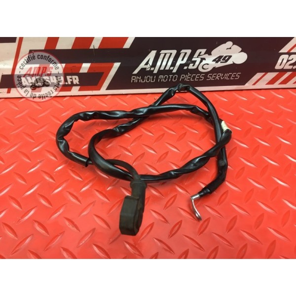Cable de masse