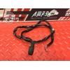 Cable de masse