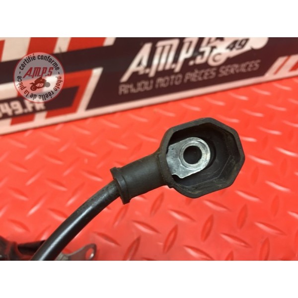 Cable de masse 