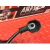 Cable de masse