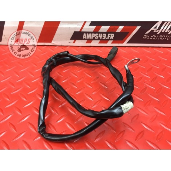 Cable de masse 