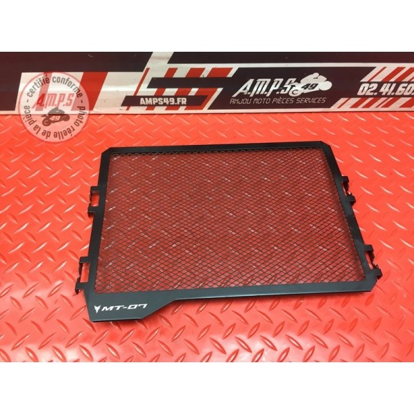 Grille de radiateur 