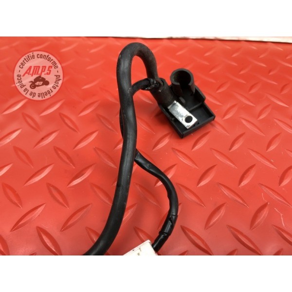 Cable de batterie 