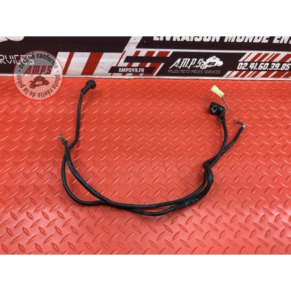 Cable de masse