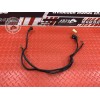 Cable de masse
