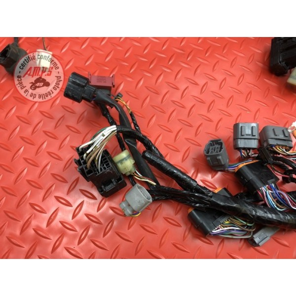 Faisceau électrique principale 