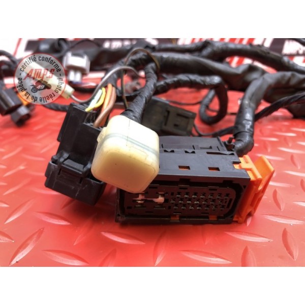 Faisceau électrique principale 