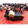 Faisceau électrique principale 
