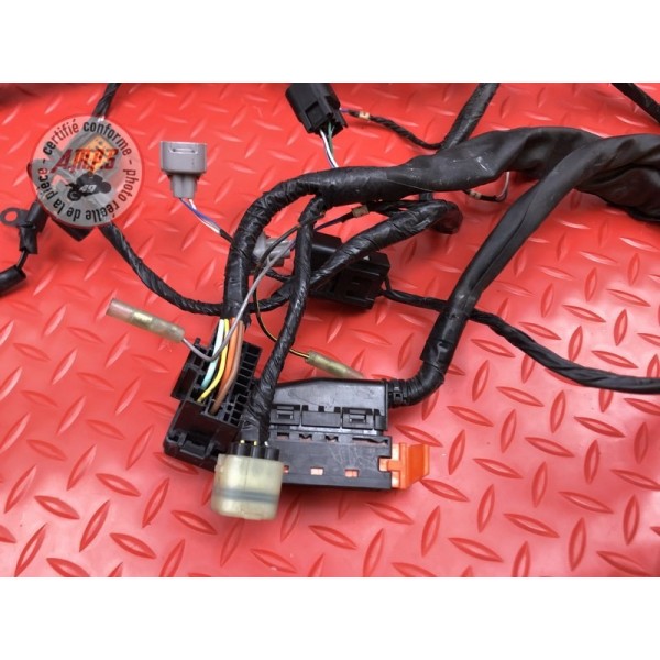 Faisceau électrique principale 