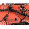 Faisceau électrique principale 