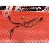 Cable de masse 