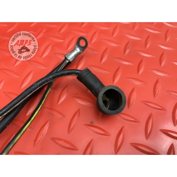 Cable de masse 