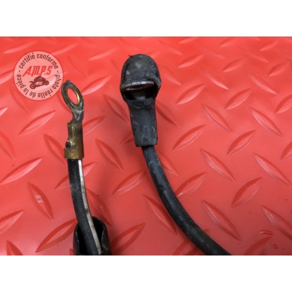 Cable de masse 