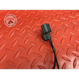 Faisceau sonde moteur 