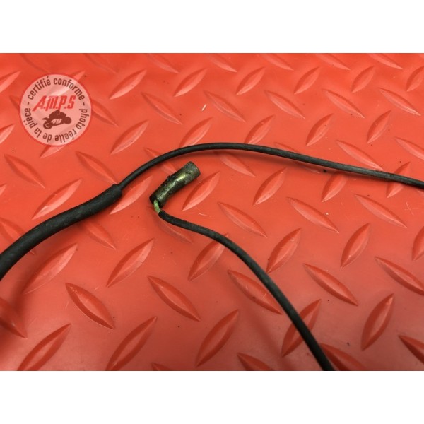 Faisceau sonde moteur 