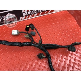 Faisceau électrique principale 