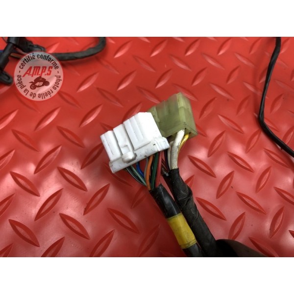 Faisceau électrique principale 