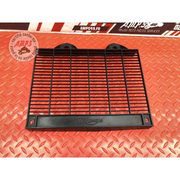 Grille de radiateur 