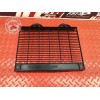 Grille de radiateur 