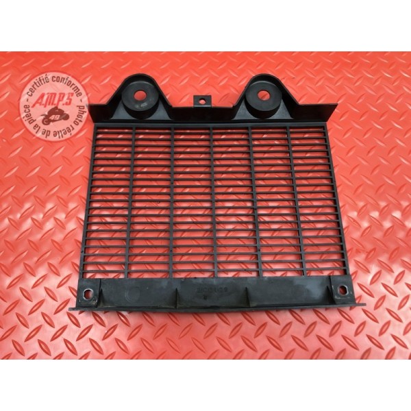 Grille de radiateur 