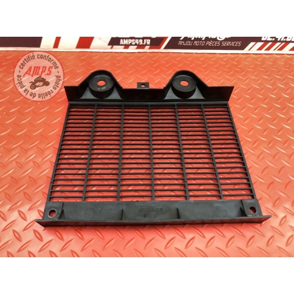 Grille de radiateur 