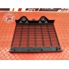 Grille de radiateur 
