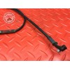 Cable de starter 