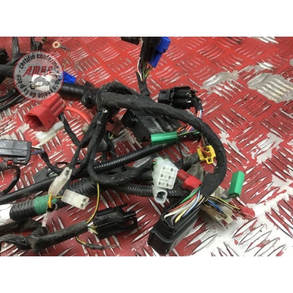 Faisceau électrique principale 