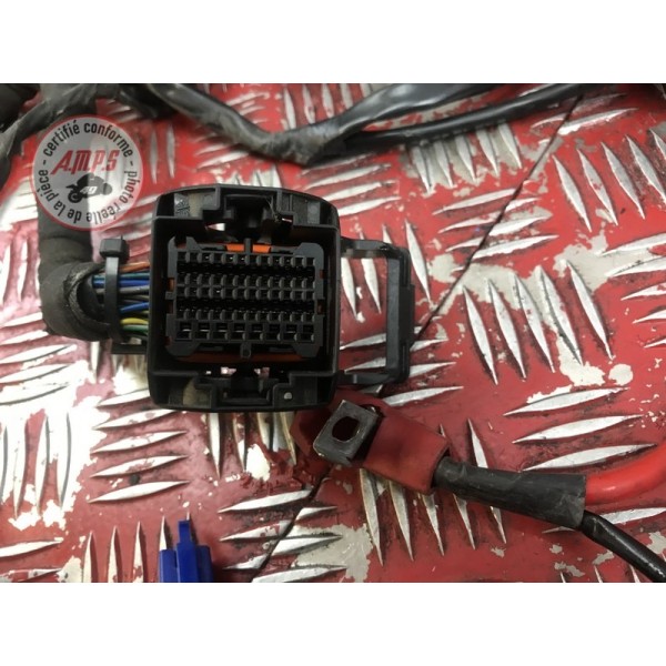 Faisceau électrique principale 