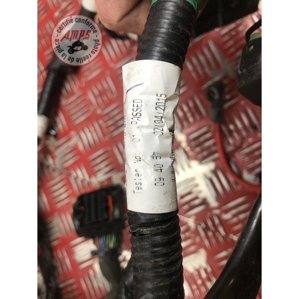 Faisceau électrique principale 