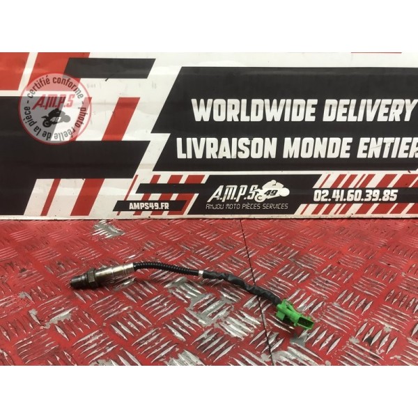 Sonde lambda