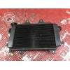 Radiateur d'eau 