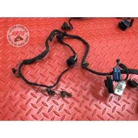 Faisceau électrique principale 