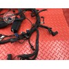 Faisceau électrique principale Bmw R1200 RT 2005 à 2009