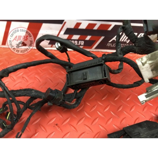 Faisceau électrique principale Bmw R1200 RT 2005 à 2009
