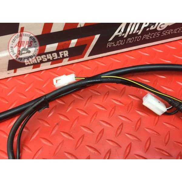 Cable de masse 