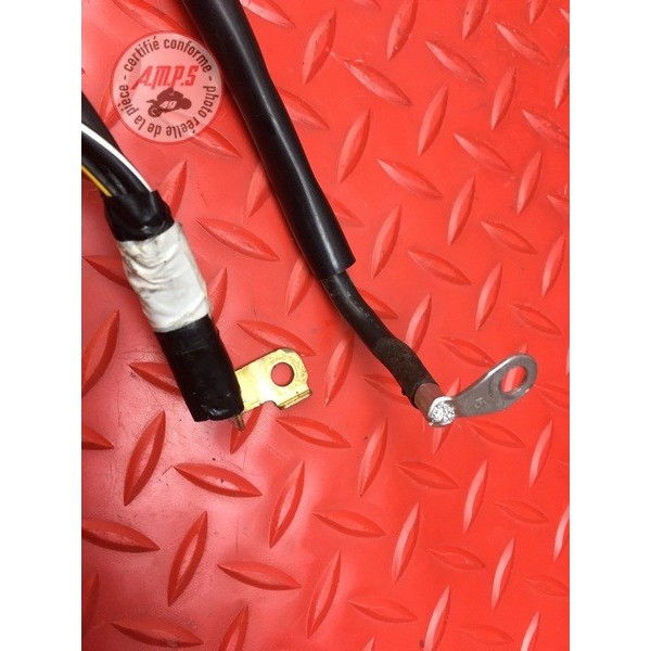 Cable de masse 