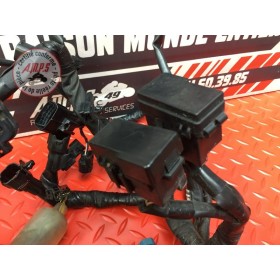 Faisceau électrique principale 