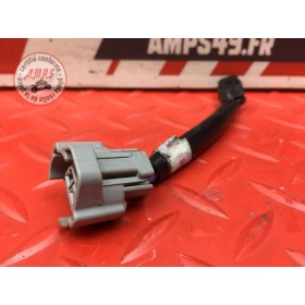 Faisceau injecteur centrale 