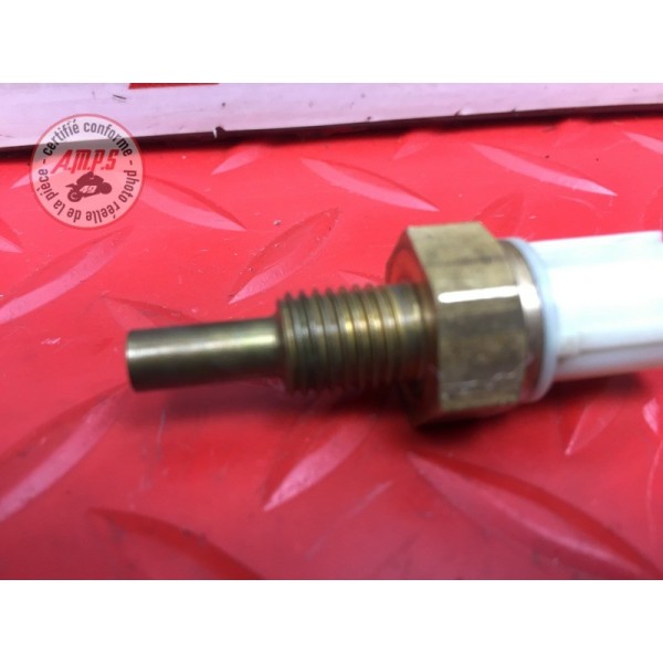 Sonde de température d'eau 