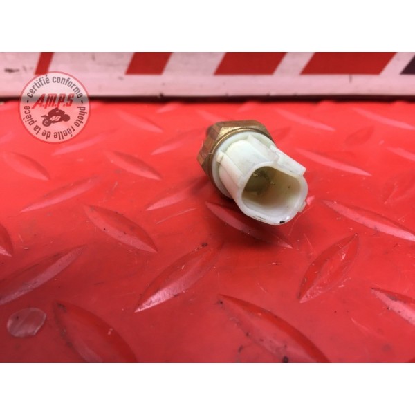Sonde de température d'eau 