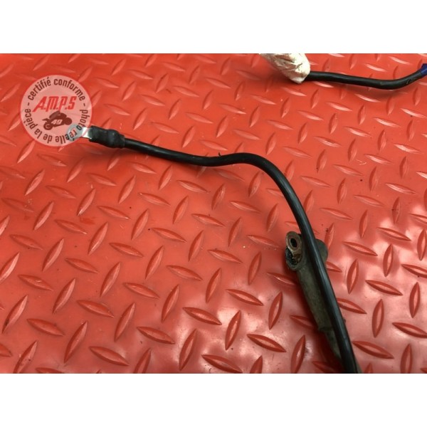 Cable de masse 