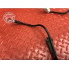 Cable de masse 