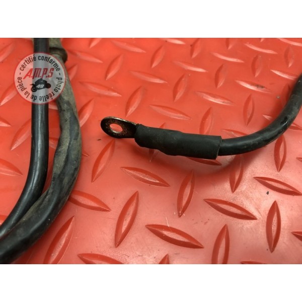 Cable de masse 