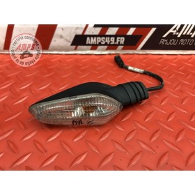 Clignotant arrière gauche 