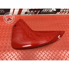 Cache sur flanc de carénage gauche 