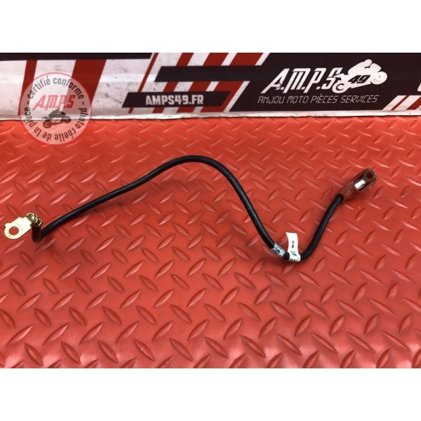 Cable de batterie 