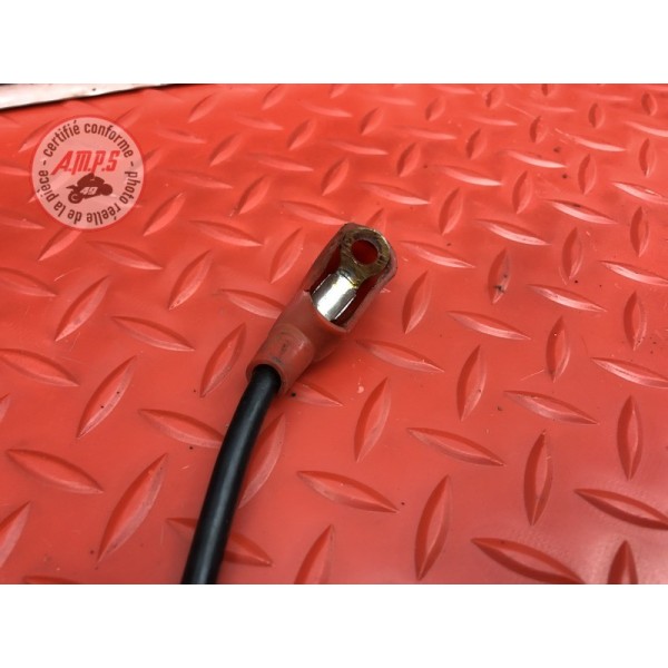 Cable de batterie 