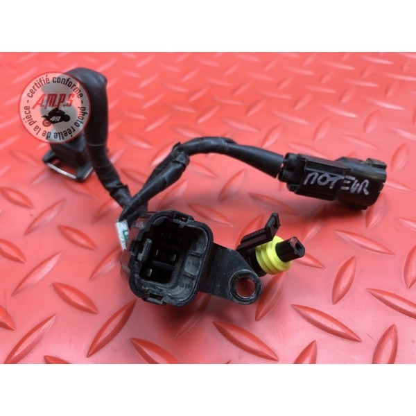 Faisceau moteur 